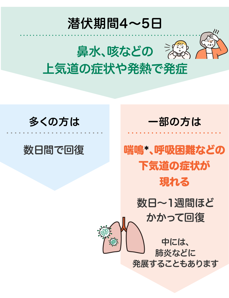 RSウイルスの潜伏期間と症状の経過